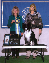 April 16, 2004 - Fable earns High In Trial at Mt. Baker Kennel Club
